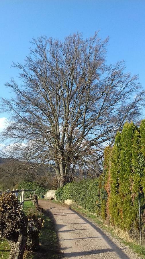 Le Nid De Birsa Villa Boersch Buitenkant foto